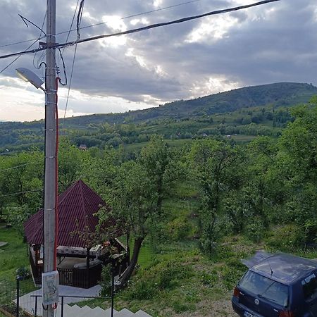 Casuta Din Livada Villa Moisei Bagian luar foto