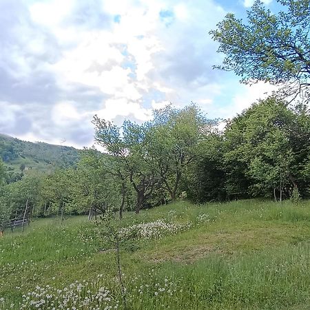 Casuta Din Livada Villa Moisei Bagian luar foto