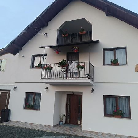 Casuta Din Livada Villa Moisei Bagian luar foto