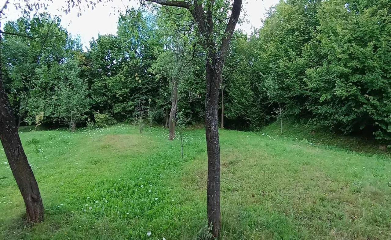 Casuta Din Livada Villa Moisei Bagian luar foto