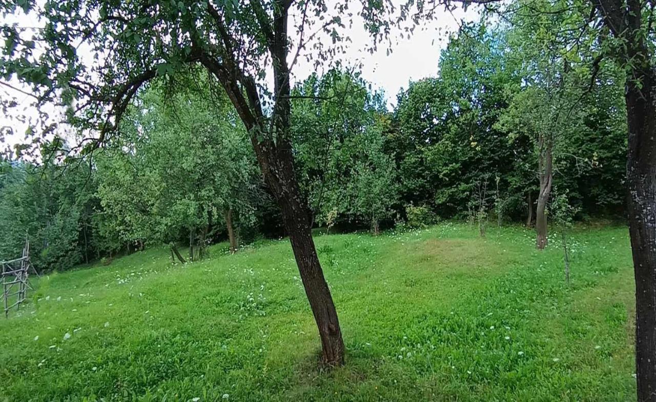 Casuta Din Livada Villa Moisei Bagian luar foto