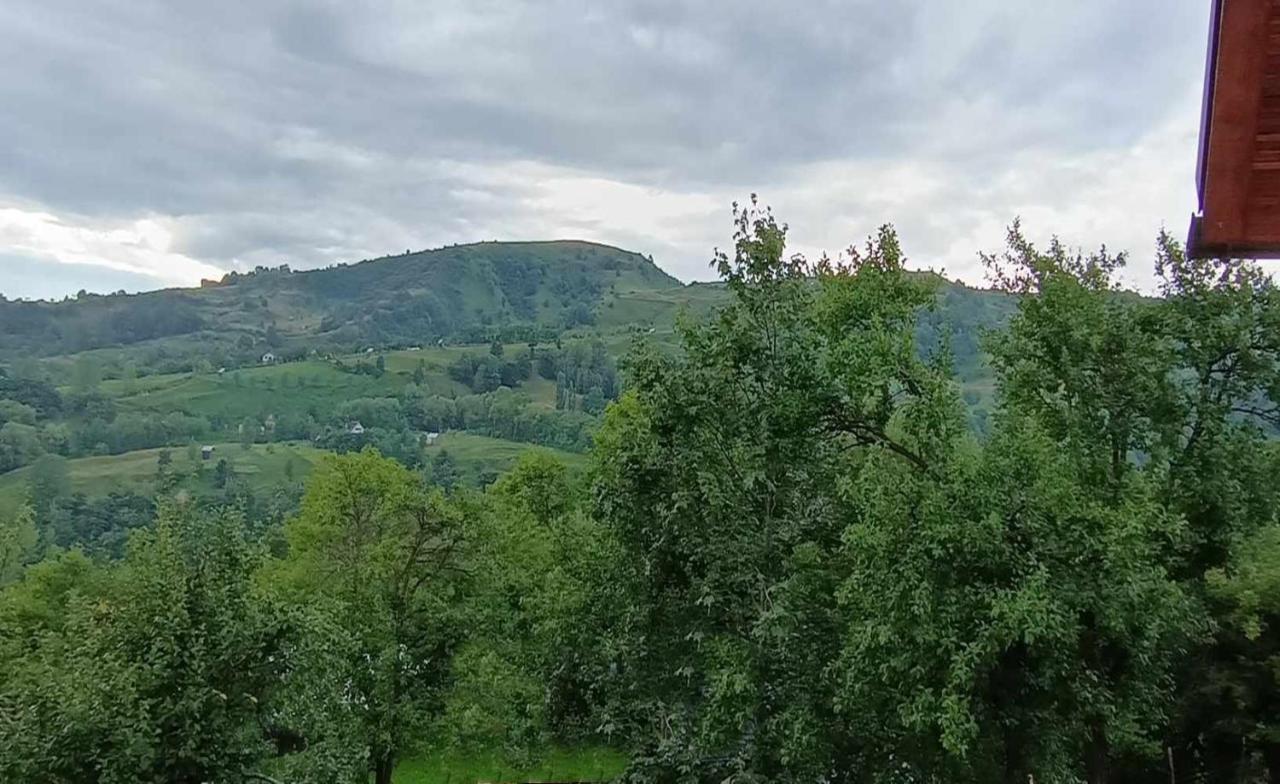 Casuta Din Livada Villa Moisei Bagian luar foto