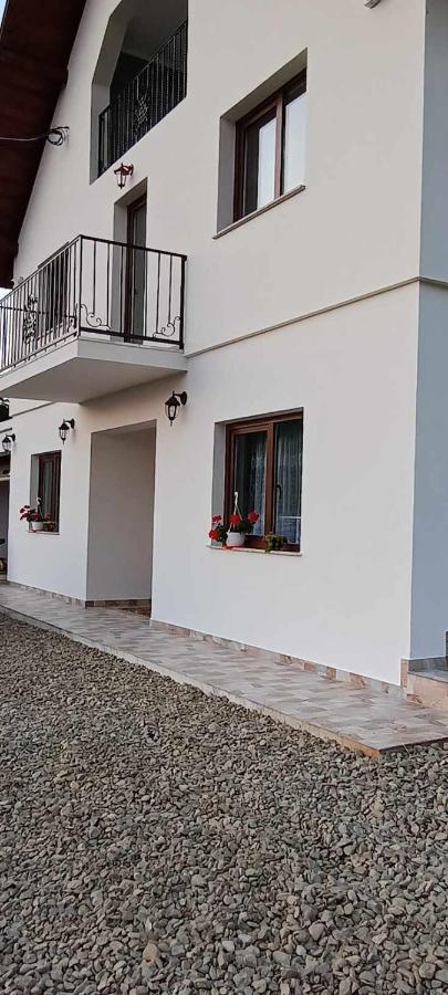 Casuta Din Livada Villa Moisei Bagian luar foto