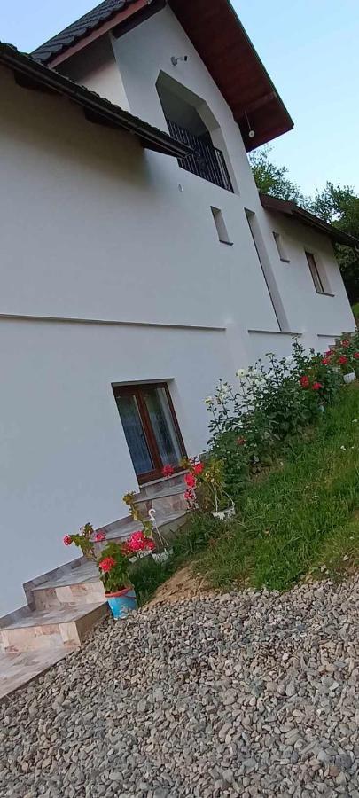 Casuta Din Livada Villa Moisei Bagian luar foto