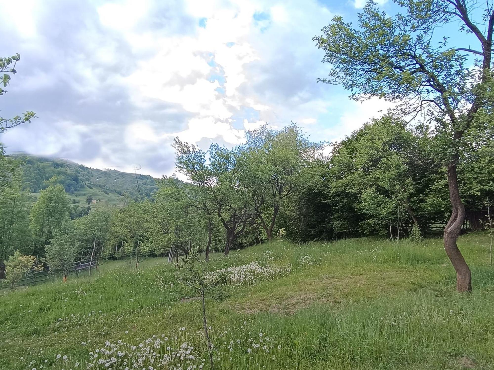 Casuta Din Livada Villa Moisei Bagian luar foto