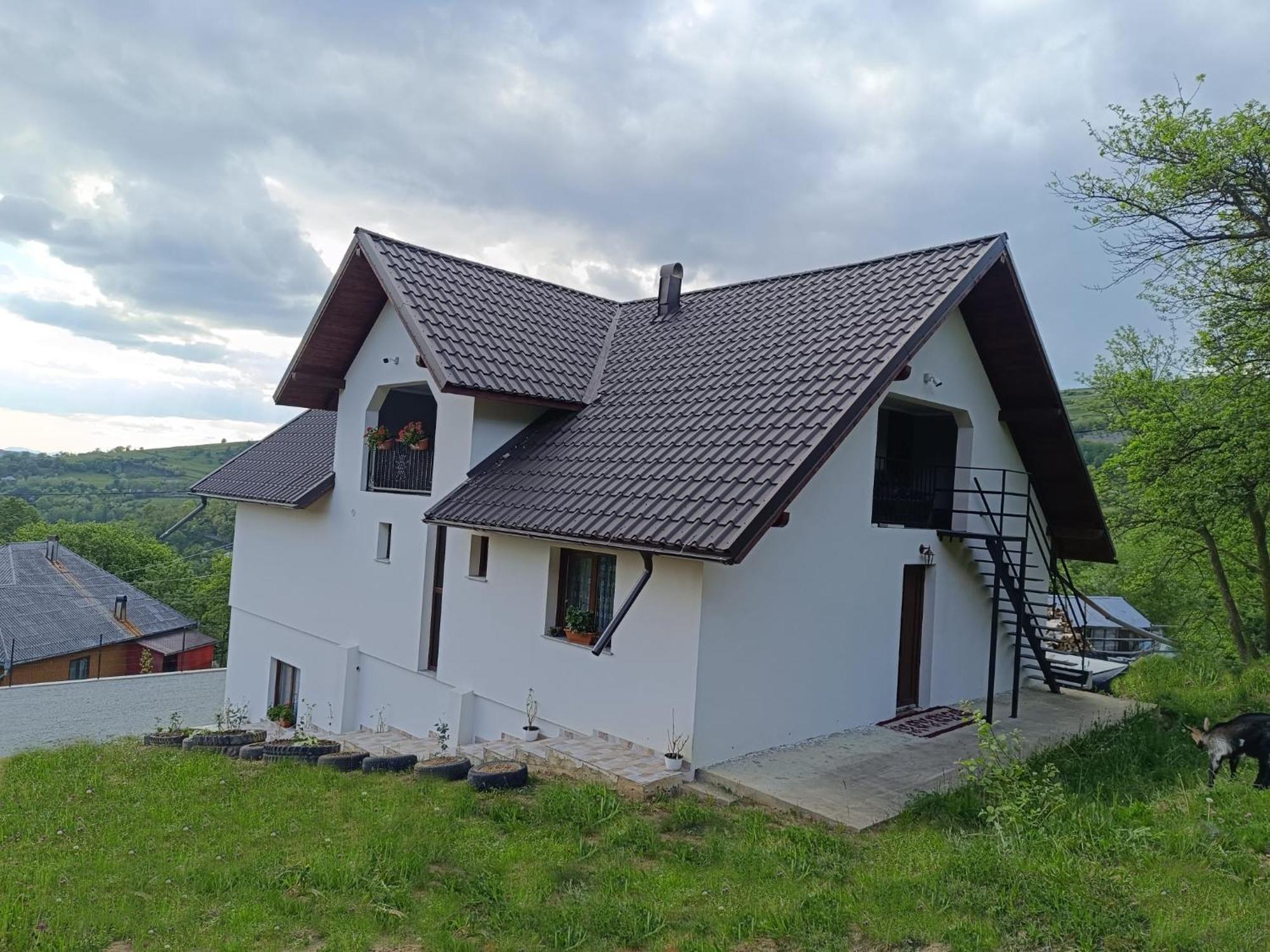 Casuta Din Livada Villa Moisei Bagian luar foto