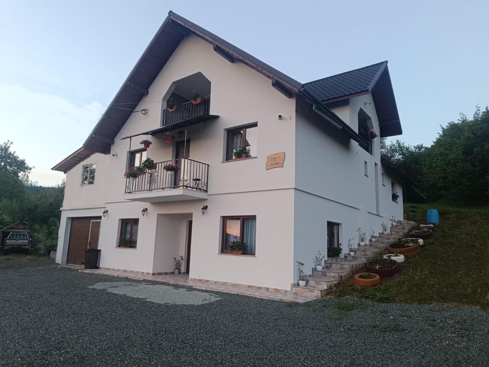 Casuta Din Livada Villa Moisei Bagian luar foto